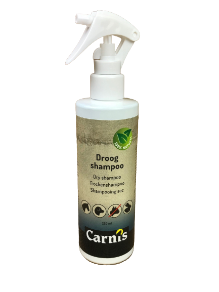 dry shampoo 2 x 250 ml