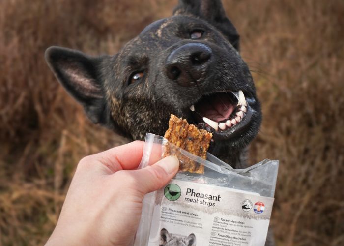 Zachte kauwsnacks voor honden met een gevoelig gebit - Carnis
