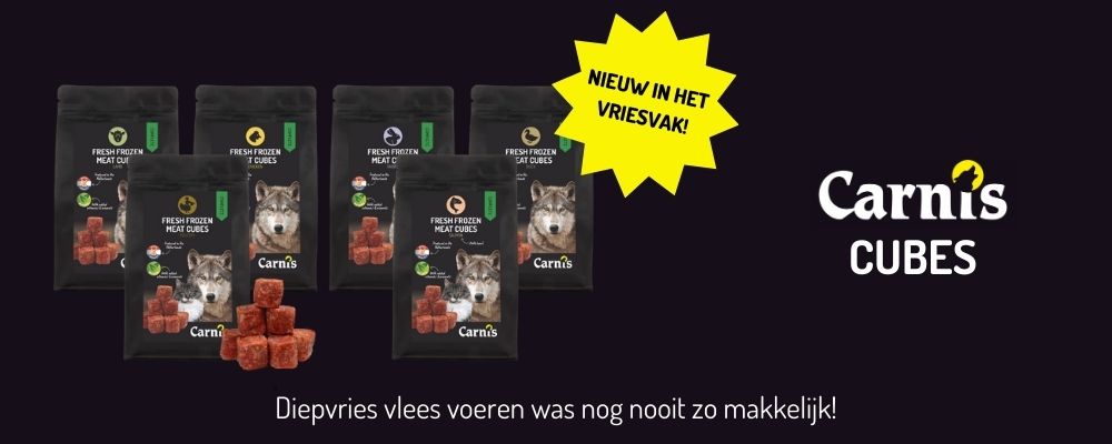 Carnis Kwispeldag promotieafbeelding