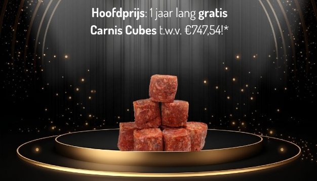 Carnis Cube Games prijs