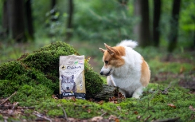 Natuurlijk hondenvoer van Carnis