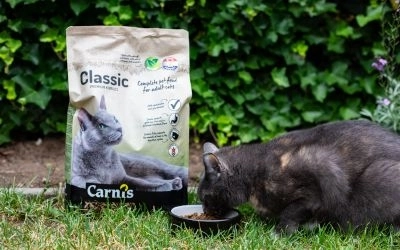Gezonde kattenvoeding van Carnis
