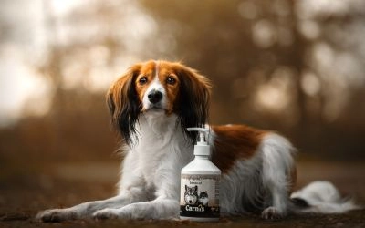 Zalmolie voor je hond: een gezonde en natuurlijke aanvulling